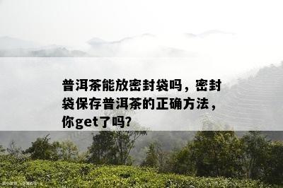 普洱茶能放密封袋吗，密封袋保存普洱茶的正确方法，你get了吗？