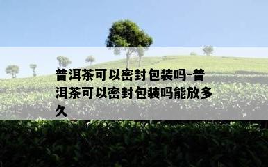 普洱茶可以密封包装吗-普洱茶可以密封包装吗能放多久