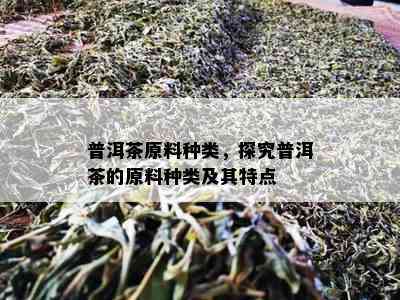 普洱茶原料种类，探究普洱茶的原料种类及其特点