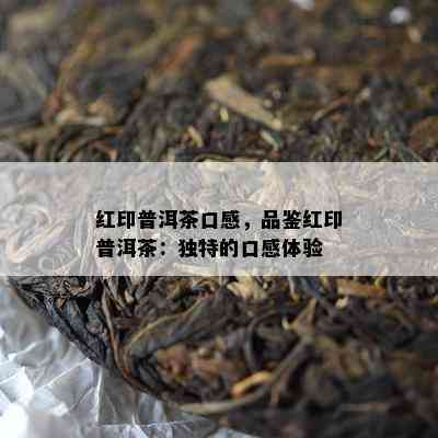 红印普洱茶口感，品鉴红印普洱茶：独特的口感体验