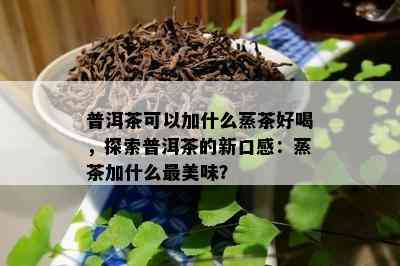 普洱茶可以加什么蒸茶好喝，探索普洱茶的新口感：蒸茶加什么最美味？