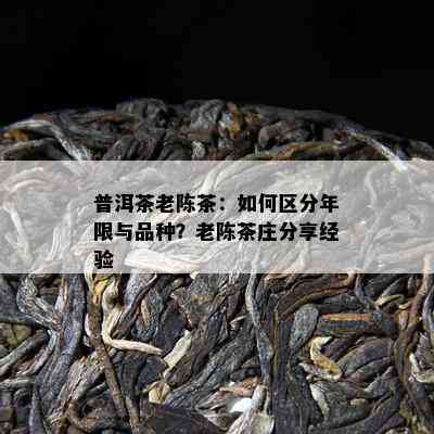 普洱茶老陈茶：如何区分年限与品种？老陈茶庄分享经验