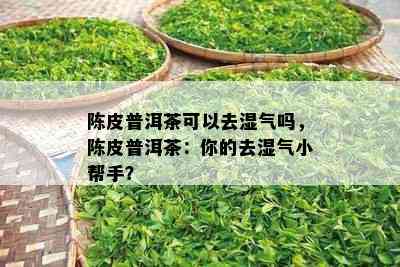 陈皮普洱茶可以去湿气吗，陈皮普洱茶：你的去湿气小帮手？