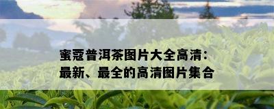 蜜蔻普洱茶图片大全高清：最新、最全的高清图片集合