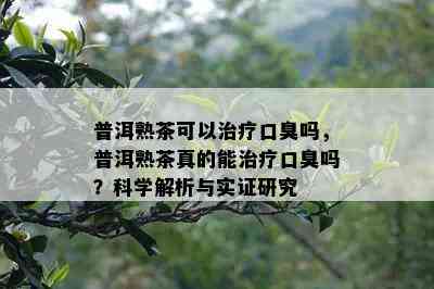 普洱熟茶可以治疗口臭吗，普洱熟茶真的能治疗口臭吗？科学解析与实证研究