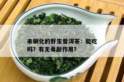 未驯化的野生普洱茶：能吃吗？有无副作用？