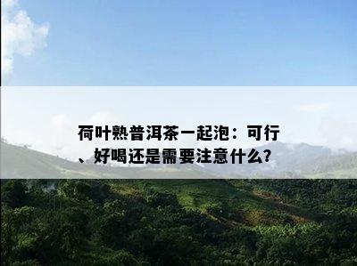 荷叶熟普洱茶一起泡：可行、好喝还是需要注意什么？