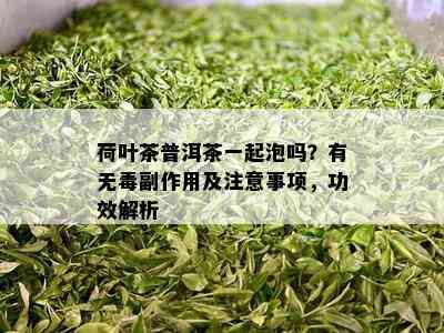 荷叶茶普洱茶一起泡吗？有无副作用及注意事项，功效解析