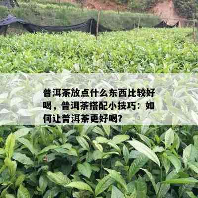 普洱茶放点什么东西比较好喝，普洱茶搭配小技巧：如何让普洱茶更好喝？