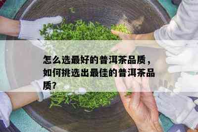 怎么选更好的普洱茶品质，如何挑选出更佳的普洱茶品质？