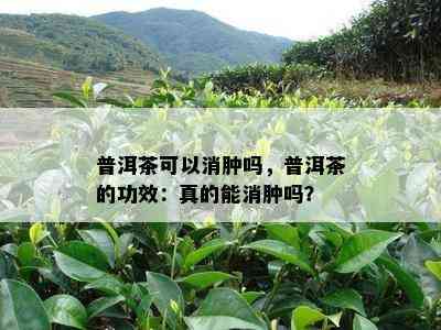 普洱茶可以消肿吗，普洱茶的功效：真的能消肿吗？