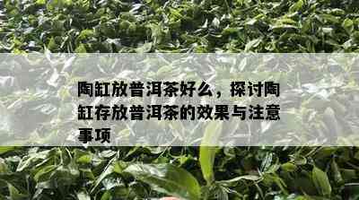 陶缸放普洱茶好么，探讨陶缸存放普洱茶的效果与注意事项