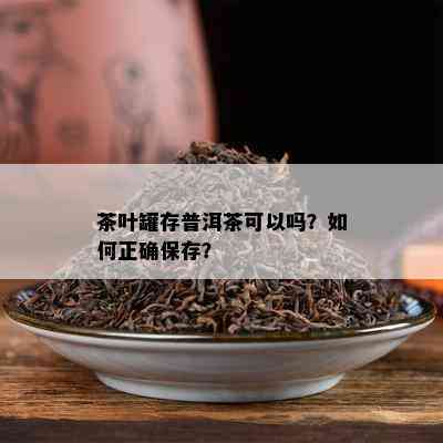 茶叶罐存普洱茶可以吗？如何正确保存？