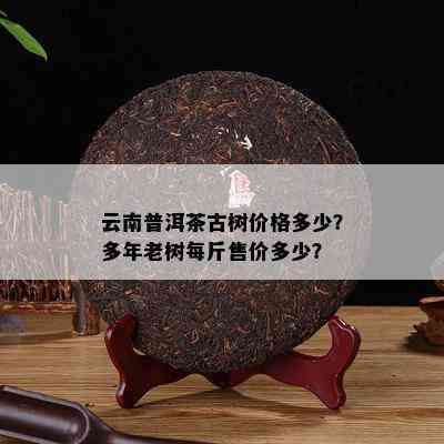 云南普洱茶古树价格多少？多年老树每斤售价多少？