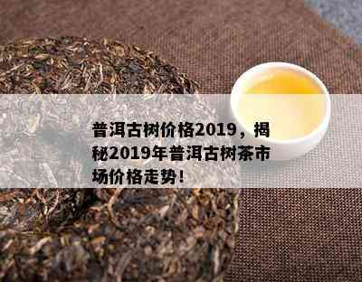 普洱古树价格2019，揭秘2019年普洱古树茶市场价格走势！