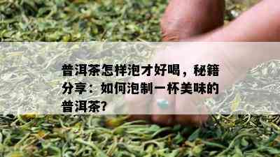 普洱茶怎样泡才好喝，秘籍分享：如何泡制一杯美味的普洱茶？