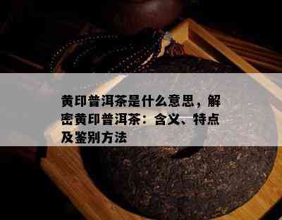 黄印普洱茶是什么意思，解密黄印普洱茶：含义、特点及鉴别方法