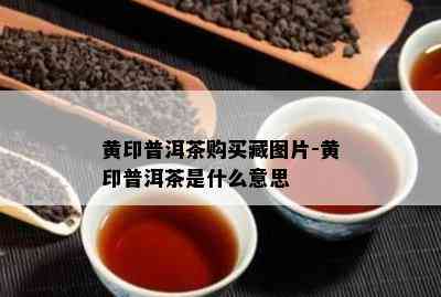 黄印普洱茶购买藏图片-黄印普洱茶是什么意思