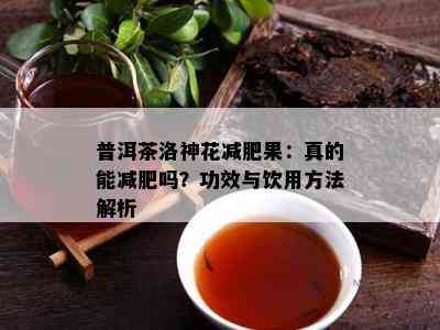 普洱茶洛神花减肥果：真的能减肥吗？功效与饮用方法解析