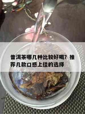 普洱茶哪几种比较好喝？推荐几款口感上佳的选择