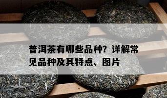 普洱茶有哪些品种？详解常见品种及其特点、图片