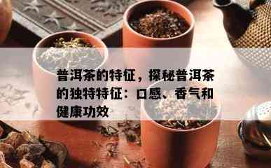 普洱茶的特征，探秘普洱茶的独特特征：口感、香气和健康功效