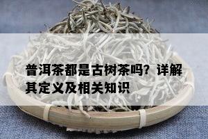 普洱茶都是古树茶吗？详解其定义及相关知识