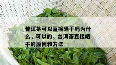 普洱茶可以直接晒干吗为什么，可以的，普洱茶直接晒干的原因和方法