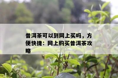 普洱茶可以到网上买吗，方便快捷：网上购买普洱茶攻略