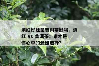 滇红好还是普洱茶好喝，滇红 vs 普洱茶：谁才是你心中的更佳选择？