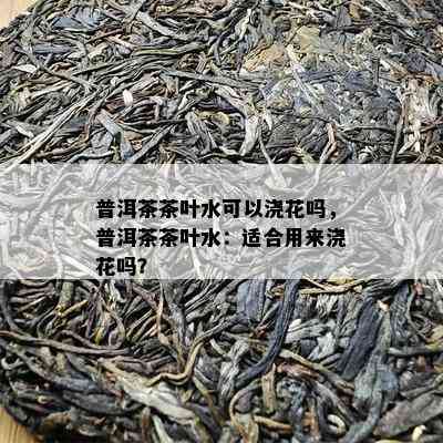 普洱茶茶叶水可以浇花吗，普洱茶茶叶水：适合用来浇花吗？