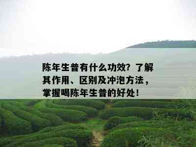 陈年生普有什么功效？了解其作用、区别及冲泡方法，掌握喝陈年生普的好处！