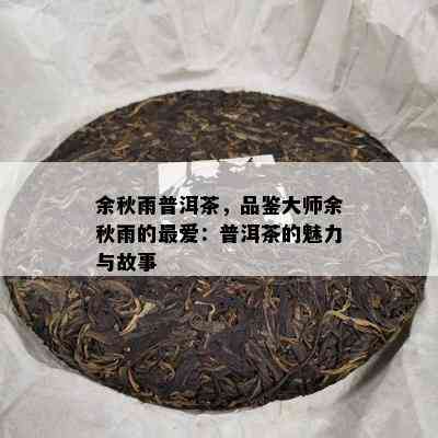 余秋雨普洱茶，品鉴大师余秋雨的更爱：普洱茶的魅力与故事