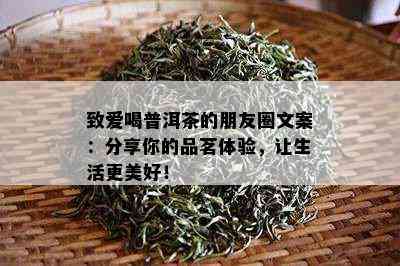 致爱喝普洱茶的朋友圈文案：分享你的品茗体验，让生活更美好！