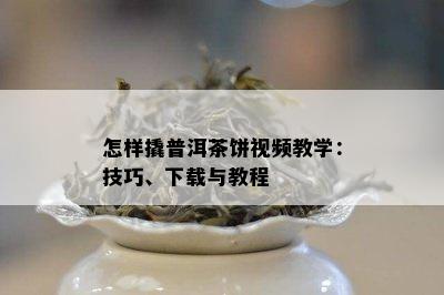 怎样撬普洱茶饼视频教学：技巧、下载与教程