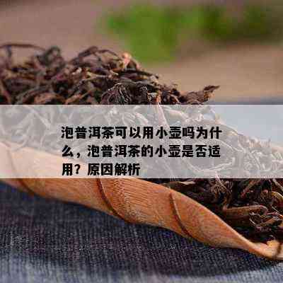 泡普洱茶可以用小壶吗为什么，泡普洱茶的小壶是否适用？原因解析