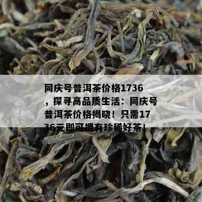 同庆号普洱茶价格1736，探寻高品质生活：同庆号普洱茶价格揭晓！只需1736元即可拥有珍稀好茶！