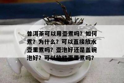 普洱茶可以用壶煮吗？如何煮？为什么？可以直接放水壶里煮吗？壶泡好还是盖碗泡好？可以放铁壶里煮吗？