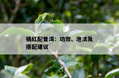 橘红配普洱：功效、泡法及搭配建议