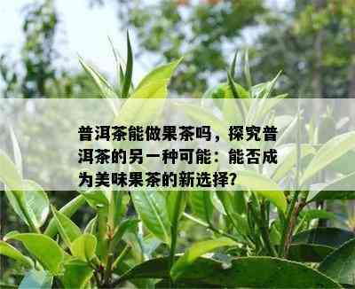 普洱茶能做果茶吗，探究普洱茶的另一种可能：能否成为美味果茶的新选择？