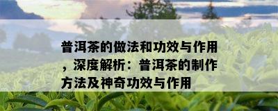 普洱茶的做法和功效与作用，深度解析：普洱茶的制作方法及神奇功效与作用