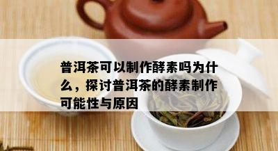 普洱茶可以制作酵素吗为什么，探讨普洱茶的酵素制作可能性与原因