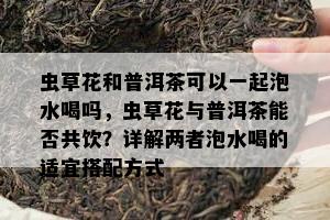 虫草花和普洱茶可以一起泡水喝吗，虫草花与普洱茶能否共饮？详解两者泡水喝的适宜搭配方式