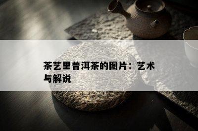 茶艺里普洱茶的图片：艺术与解说