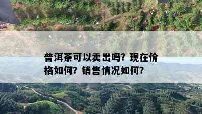 普洱茶可以卖出吗？现在价格如何？销售情况如何？