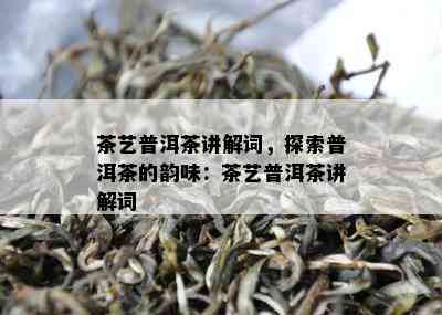 茶艺普洱茶讲解词，探索普洱茶的韵味：茶艺普洱茶讲解词