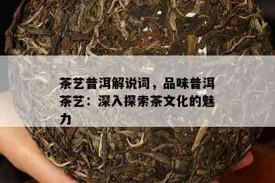 茶艺普洱解说词，品味普洱茶艺：深入探索茶文化的魅力