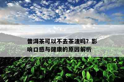 普洱茶可以不去茶渣吗？影响口感与健康的原因解析