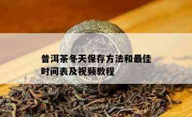 普洱茶冬天保存方法和更佳时间表及视频教程