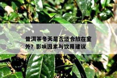 普洱茶冬天是否适合放在室外？影响因素与饮用建议